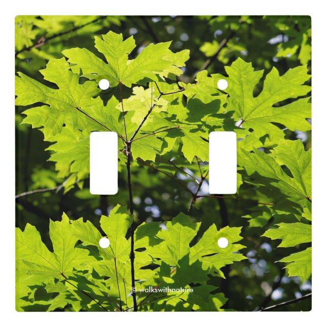 Sun-Dappled Leaves in the Forest Light Switch Cover (Front)