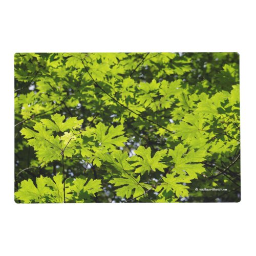 Sun_Dappled Leaves in the Forest Placemat