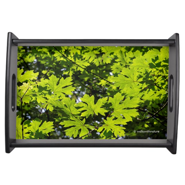 Sun-Dappled Leaves in the Forest Serving Tray (Front)