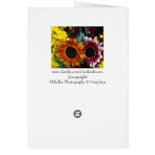 Sun dappled roses cards (Back)