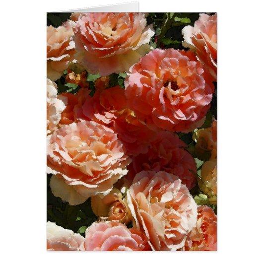 Sun dappled roses cards (Front)