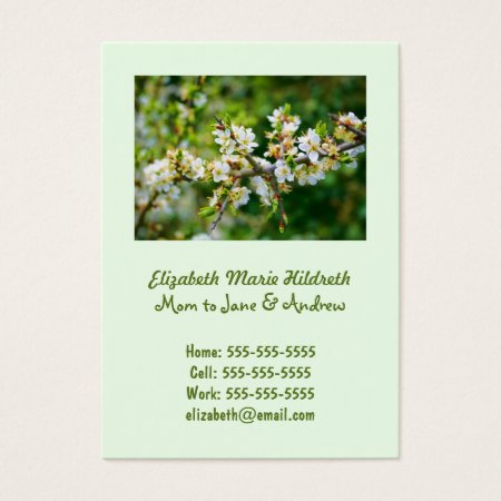 Sun-Dappled Spring Hawthorn Business Card