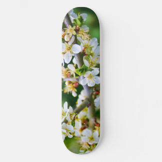 Sun-Dappled Spring Hawthorn Skateboard