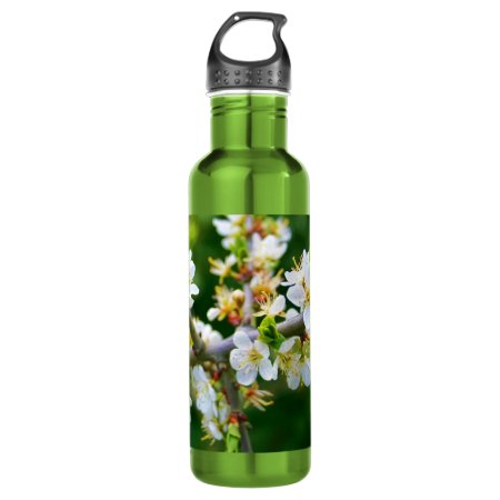 Sun-Dappled Spring Hawthorn Water Bottle