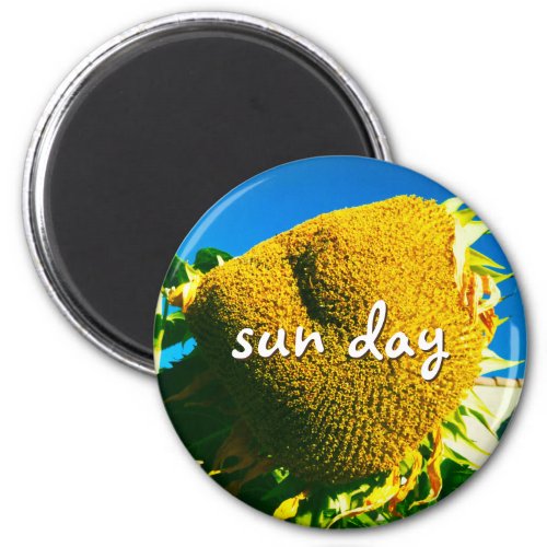 Sun Day Quote Script Yellow Sunflower Photo Magnet