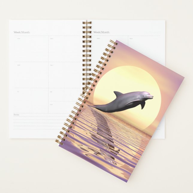 Sun Dolphin Planner (Display)