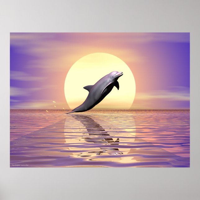 Sun Dolphin Poster (Front)
