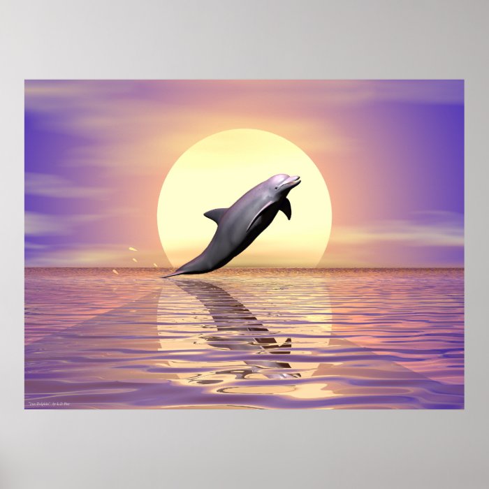 Sun Dolphin Poster Zazzle