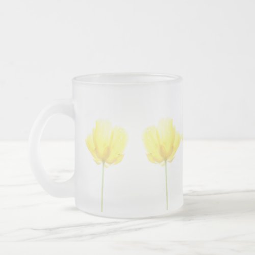 Sun Drenched Frosted Glass Coffee Mug