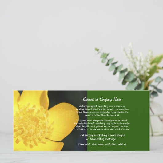 Sun Drenched Golden Buttercup (Standing Front)