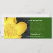 Sun Drenched Golden Buttercup (Front)