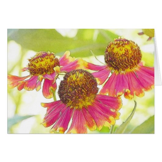 Sun Drenched Heleniums Cards (Front Horizontal)