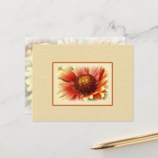 Sun Drenched Yellow Orange Gaillardia Flower