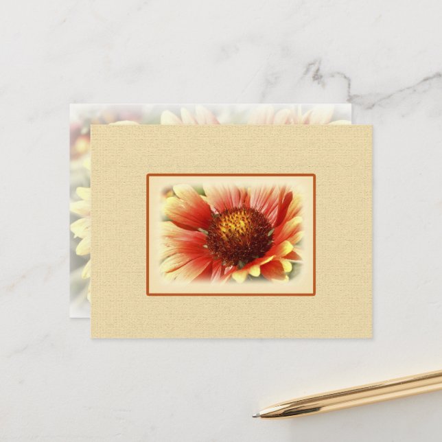 Sun Drenched Yellow Orange Gaillardia Flower Postcard (Front/Back In Situ)