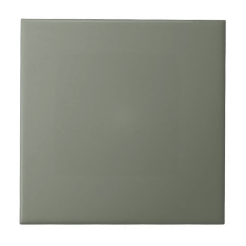 Sun Dried Thyme Green Kitchen and Bathroom Ceramic Tile