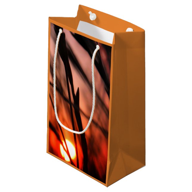 Sun Field Celebration  Gift Bag - Small, Glossy (Front Angled)