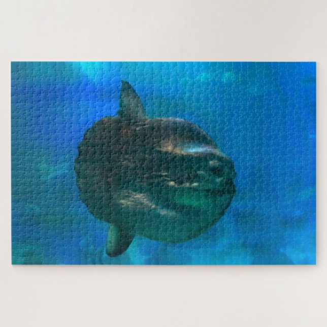 Sun Fish. Jigsaw Puzzle (Horizontal)