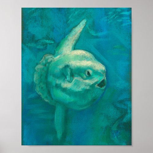 Sun Fish Mola Mola Ocean Underwater Animals Art P Poster