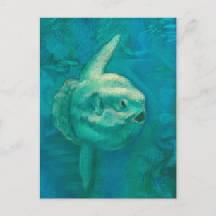 Sun Fish, Mola Mola Ocean Underwater Animals Art Postcard
