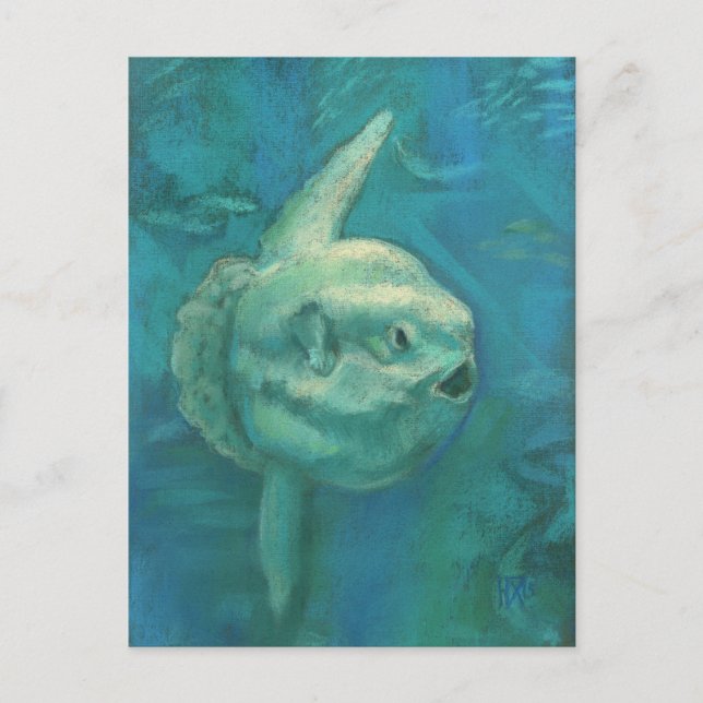 Sun Fish, Mola Mola Ocean Underwater Animals Art Postcard (Front)