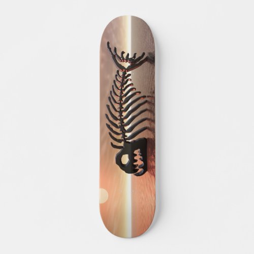 Sun Fish Skateboard