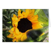 Sun Flower (Front Horizontal)