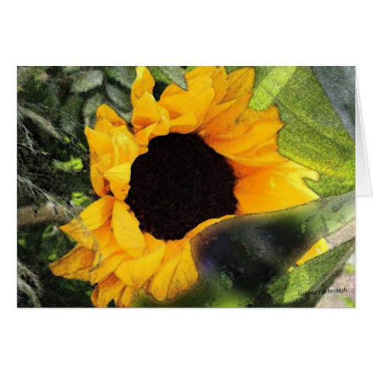 Sun Flower Cards (Front Horizontal)