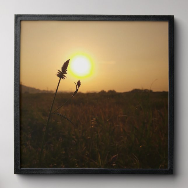 Sun-flower Peel And Stick Photo Tile (Front Set)