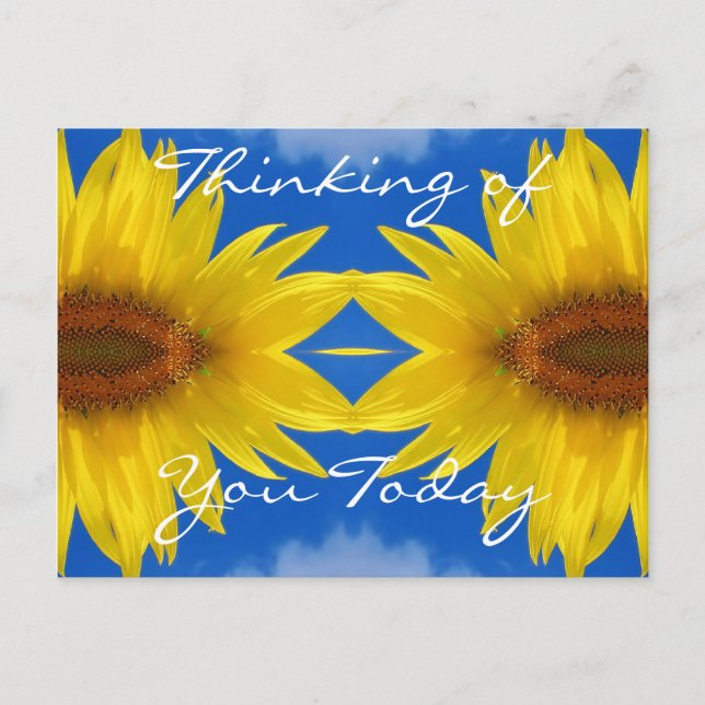 Sun Flower Postcard (Front)