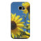 Sun flowers galore!