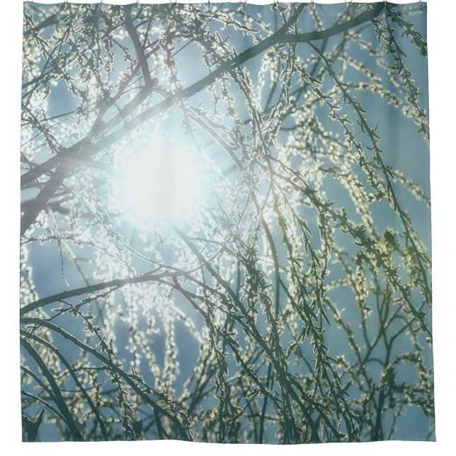 Sun Glow Through Willow Tree Branches Uplifting Shower Curtain (Front)
