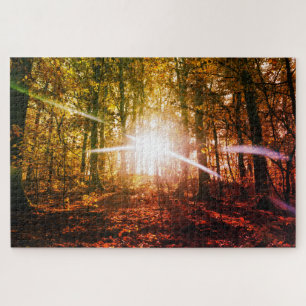 Sun in  the autumn forest jigsaw puzzle