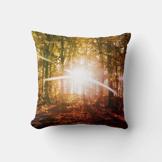 Sun in  the autumn forest throw pillow (Front)