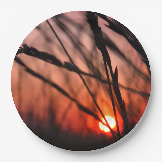 Sun in the grass Custom Paper Plates 9 in (Front)