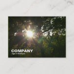 Sun in the Trees Business Card