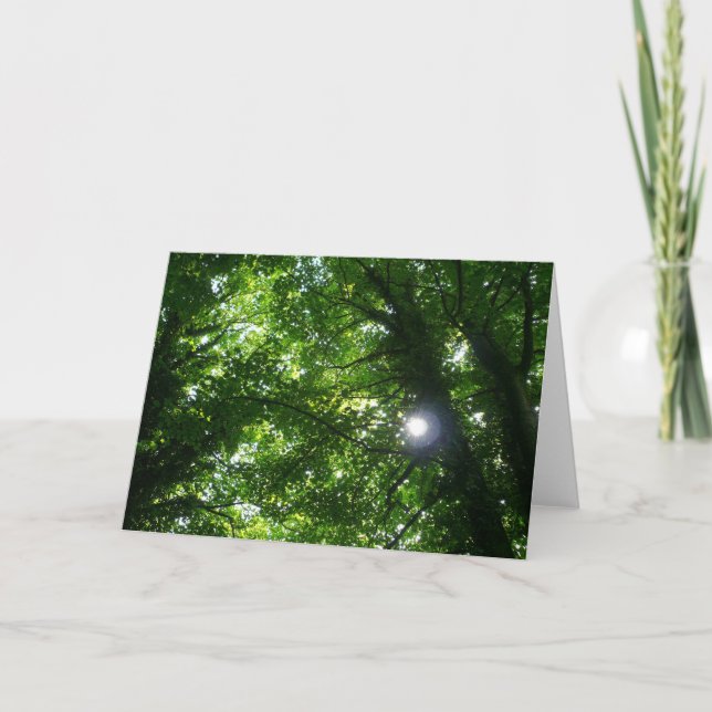 Sun in the Trees Card (Front)
