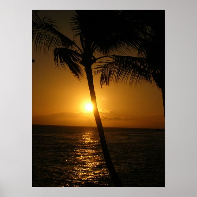 Sun in the trees, going down poster (Front)