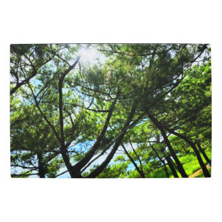 Sun in the Woods Metal Wall Art