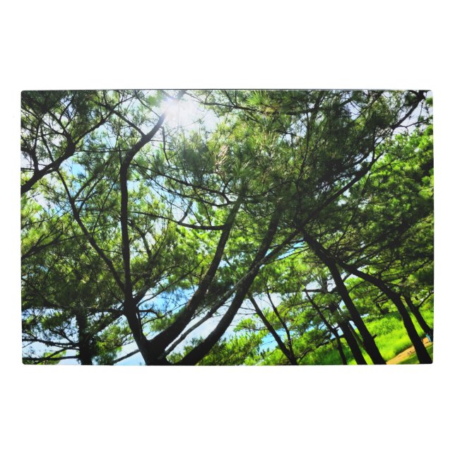 Sun in the Woods Metal Wall Art (Front)