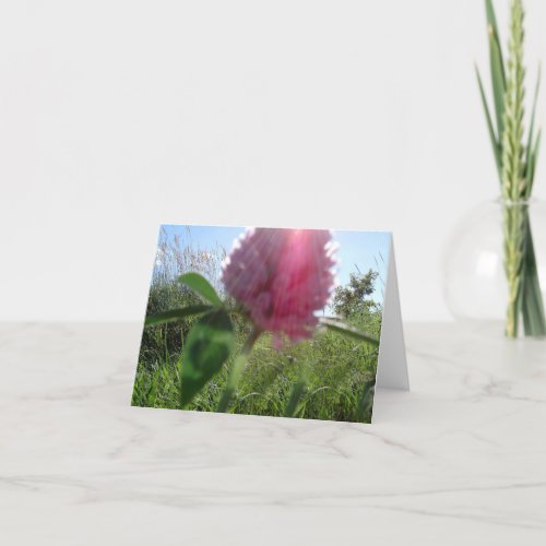 Sun Kissed Clover Note Card