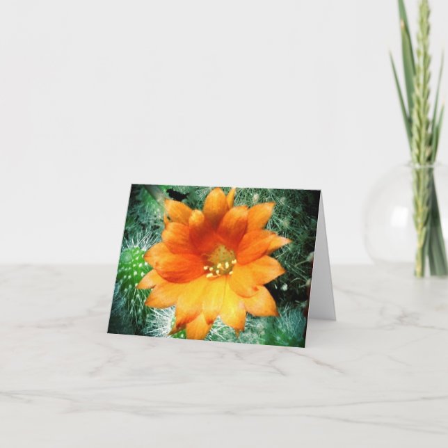 Sun Kissed Desert Flower Thank You Notes (Front)