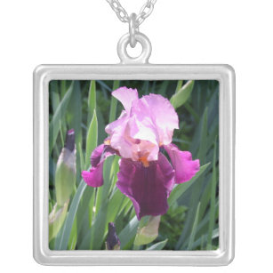 Sun-kissed Pink Iris Large Silver Plated Necklace
