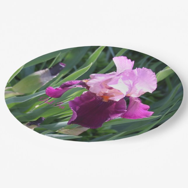 Sun-kissed Pink Magenta Iris Garden  Paper Plates (Angled)