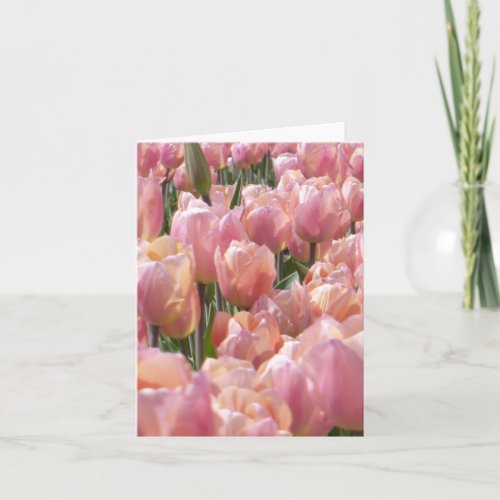 Sun_kissed Pink Tulips Note Card