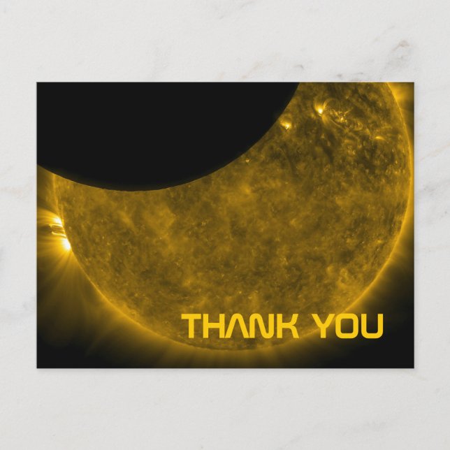 Sun & Moon Thank You Postcard (Front)