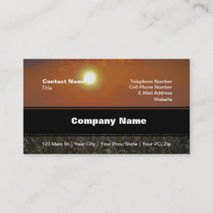 Sun Over a Corn Field Business Card