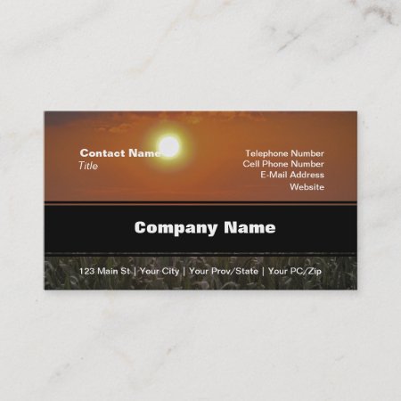 Sun Over A Corn Field Business Card