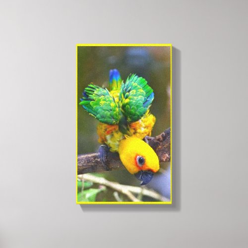 Sun Parakeet Canvas Print