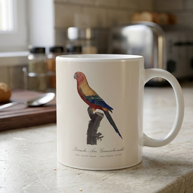 Sun Parakeet Male, Aratinga Solstitialis Coffee Mug (Sun Parakeet Male, Aratinga Solstitialis. Coffee Mug)