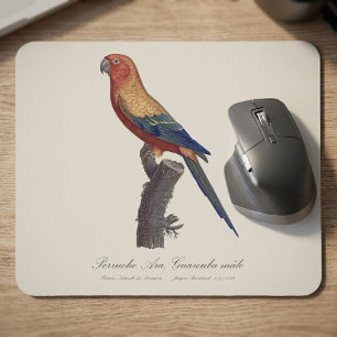 Sun Parakeet Male, Aratinga Solstitialis Mouse Pad